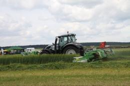 VÝSTAVA KRALOVICE 2015 - (Galerie obr. 10)