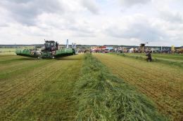 VÝSTAVA KRALOVICE 2015 - (Galerie obr. 11)