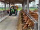 5 Keyline -  (Galerie obr. 2)
