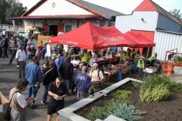 HISTORICKÉ TRAKTORY 2015 - (Galerie obr. 17)